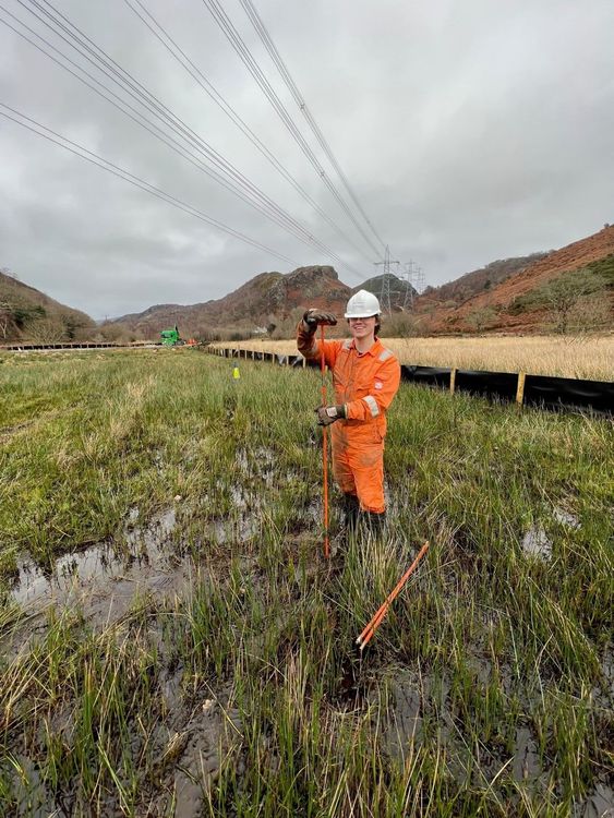 ecology background image relative z-1