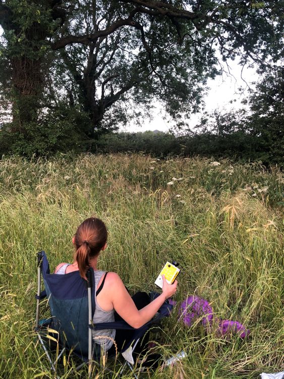 ecology background image relative z-1