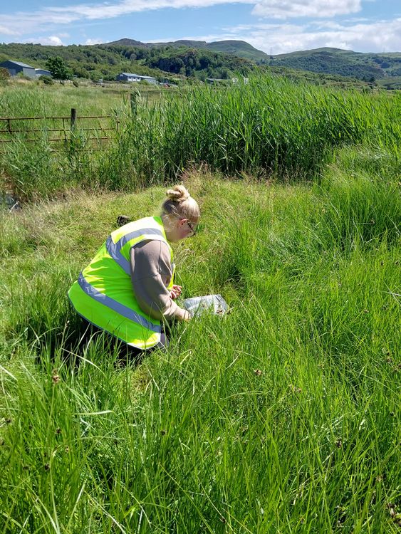 ecology background image relative z-1