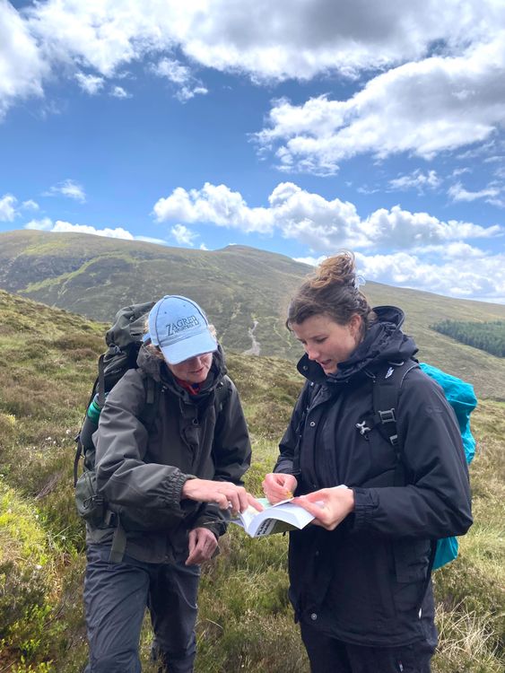 ecology background image relative z-1