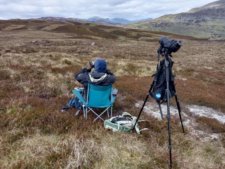 ecology background image relative z-1