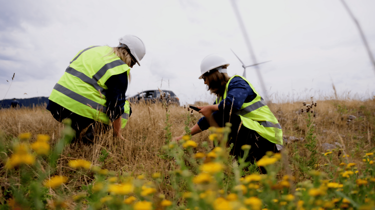 ecology background image relative z-1