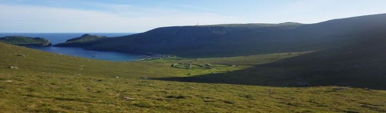 ecology background image relative z-1