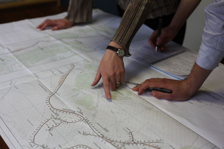 ecology background image relative z-1