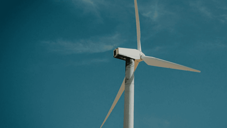 ecology background image relative z-1