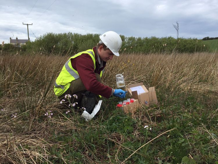 ecology background image relative z-1