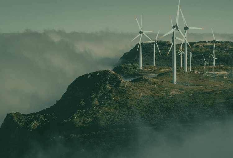 ecology background image relative z-1