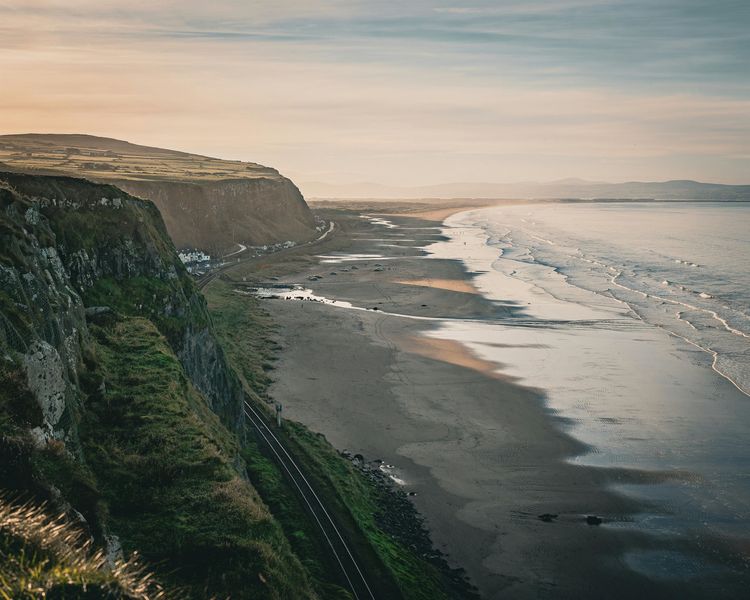 ecology background image relative z-1